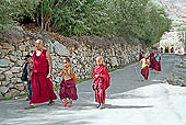 Ladakh - Likir Gompa 